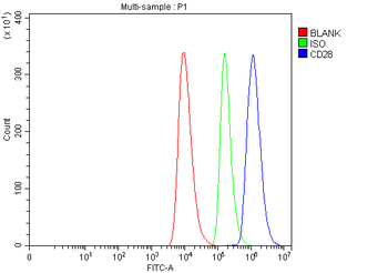 CD28 Rabbit Polyclonal Antibody