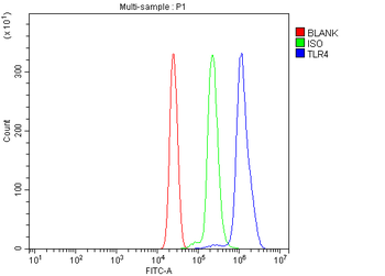 TLR4 Rabbit Polyclonal Antibody