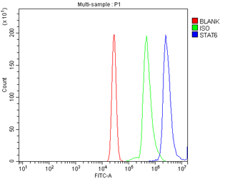 STAT6 Rabbit Polyclonal Antibody