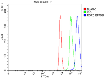 ROR gamma/RORC Antibody