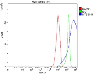 MIM/MTSS1 Antibody
