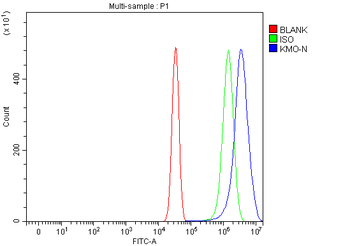 Anti-KMO Antibody