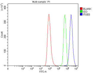 Anti-Integrin beta 3/ITGB3 Antibody