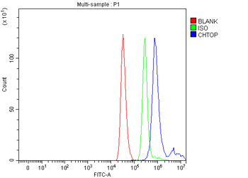 Anti-C1orf77/FOP/CHTOP Antibody