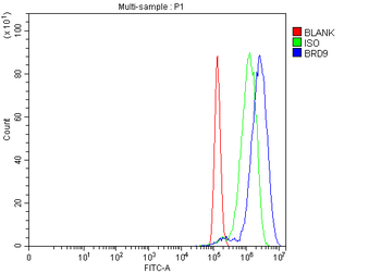 BRD9 Rabbit Polyclonal Antibody