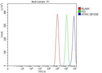 Anti-Ataxin 1 Antibody (monoclonal, 2B13G8)