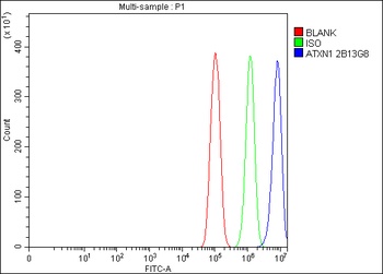 Ataxin 1 Antibody (monoclonal, 2B13G8)
