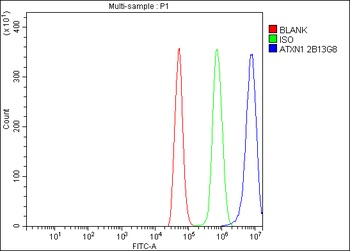 Ataxin 1 Antibody (monoclonal, 2B13G8)