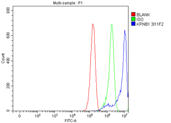 Anti-KPNB1 Antibody (monoclonal, 3I11F2)