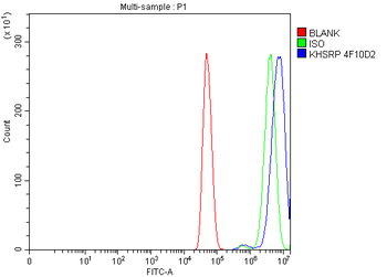 KHSRP Antibody (monoclonal, 4F10D2)