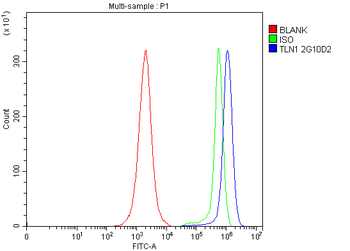 Talin 1/TLN1 Antibody (monoclonal, 2G10D2)