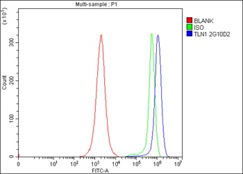 Talin 1/TLN1 Antibody (monoclonal, 2G10D2)