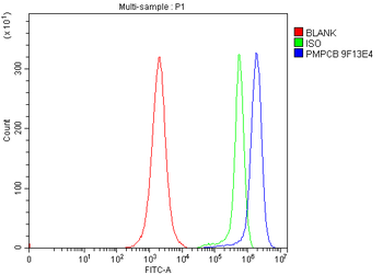 MPPB/PMPCB Antibody (monoclonal, 9F13E4)