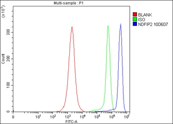 NDFIP2 Antibody (monoclonal, 10D6D7)