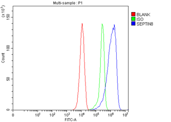 Septin 8/Septin8 Rabbit Polyclonal Antibody