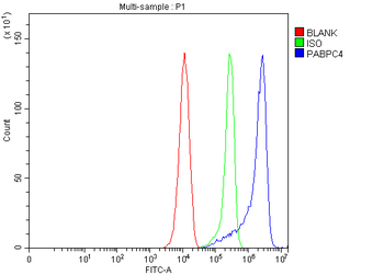 Anti-APP-1/PABPC4 Antibody