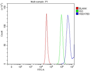 HSD17B3 Rabbit Polyclonal Antibody