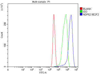 NDP52/CALCOCO2 Antibody (monoclonal, 9E2F2)
