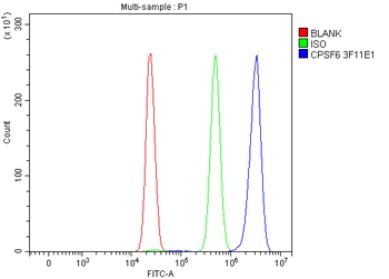 Anti-CPSF6 Antibody (monoclonal, 3F11E1)