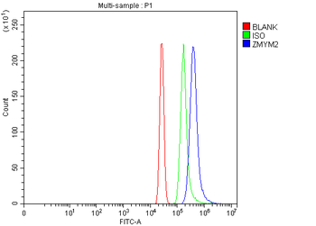 RAMP/ZMYM2 Antibody