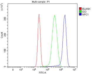 Niemann Pick C1/NPC1 Rabbit Polyclonal Antibody