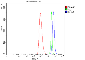 ST2/IL1RL1 Rabbit Polyclonal Antibody