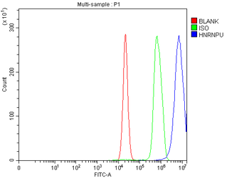 Anti-hnRNP U/p120/HNRNPU Antibody