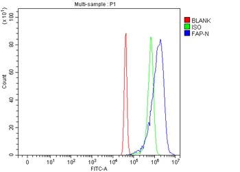 Fibroblast activation protein, alpha/FAP Antibody