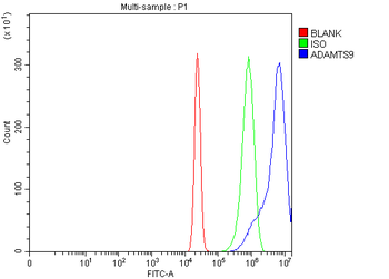 Anti-ADAMTS9 Antibody