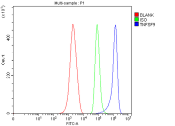 4-1BBL/Tnfsf9/1BBL Rabbit Polyclonal Antibody