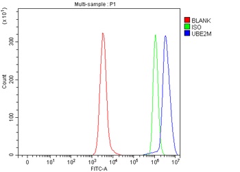 UBC12/UBE2M Antibody