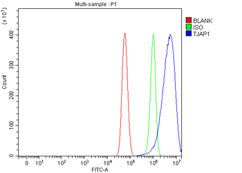 TJAP1 Antibody