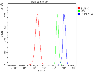 GADD34/Ppp1r15a Rabbit Polyclonal Antibody