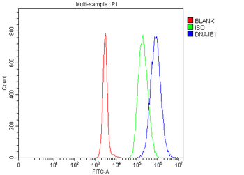 Hsp40/DNAJB1 Antibody