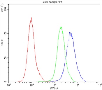 Bcl-2-like protein 2 Bcl2L2 Antibody