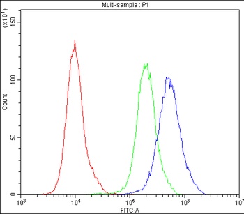 Anti-Bcl-2-like protein 2 Bcl2L2 Antibody