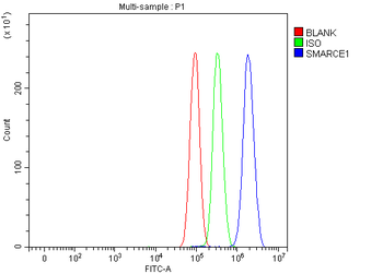 BAF57/SMARCE1 Antibody