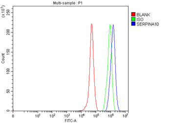 Anti-ZPI/SERPINA10 Antibody