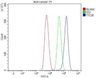 TPRBK/TTC28 Antibody