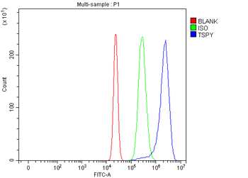 TSPY1/2/3/4 Antibody