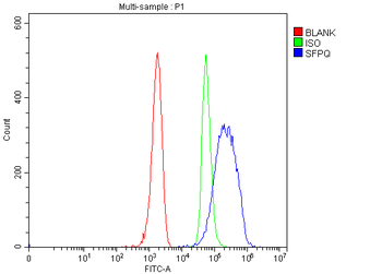 Anti-SFPQ Antibody
