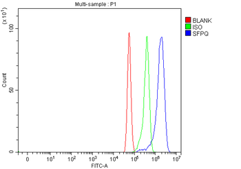 Anti-SFPQ Antibody