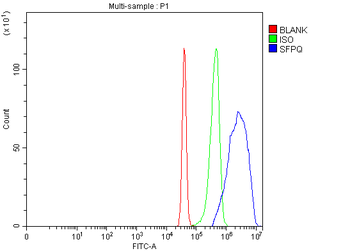 Anti-SFPQ Antibody