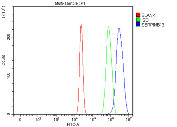 SERPINB13 Rabbit Polyclonal Antibody