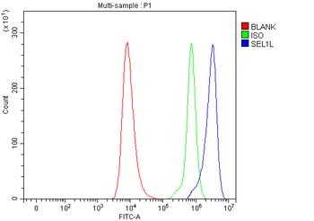 Anti-SEL1L Antibody