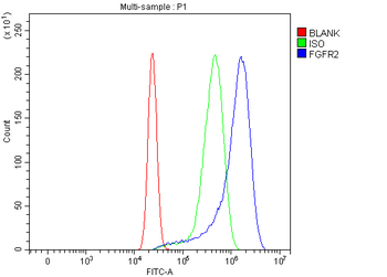 FGFR2 Antibody