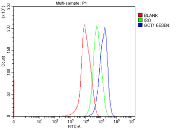 Aspartate Aminotransferase/GOT1 Antibody (monoclonal, 6B3B4)