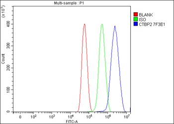 CTBP2 Antibody (monoclonal, 7F3E1)