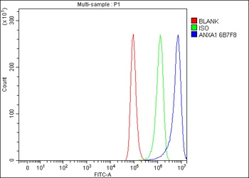 Annexin A1/ANXA1 Antibody (monoclonal, 6B7F8)