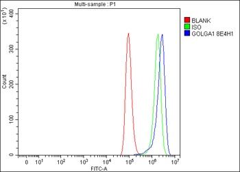 Golgin 97/GOLGA1 Antibody (monoclonal, 8E4H1)